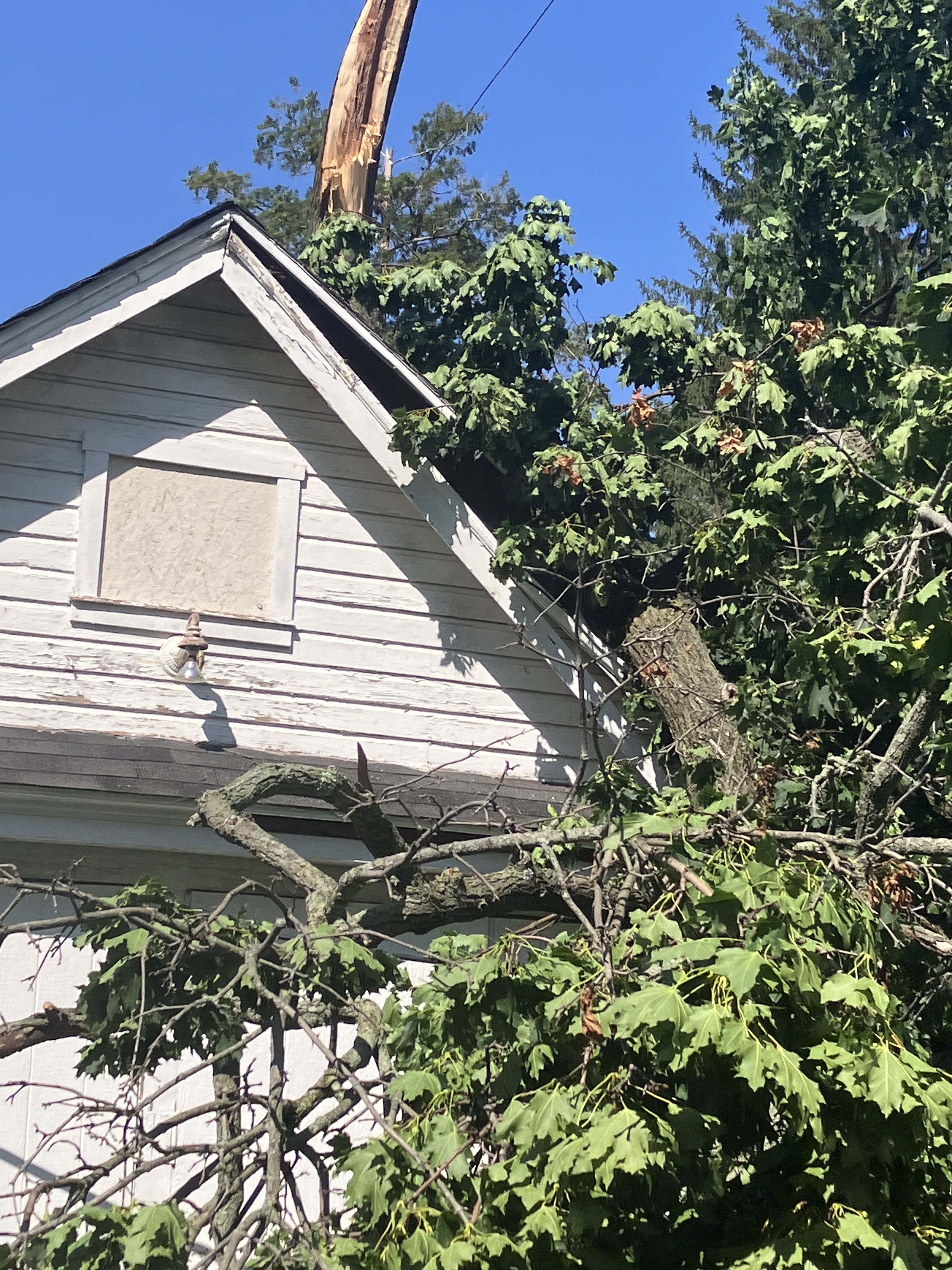 Garage Tree